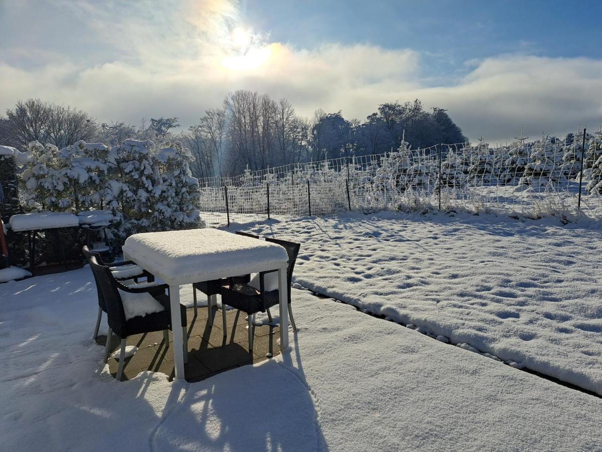 Great Apartment Winterberg Woods Medebach Extérieur photo