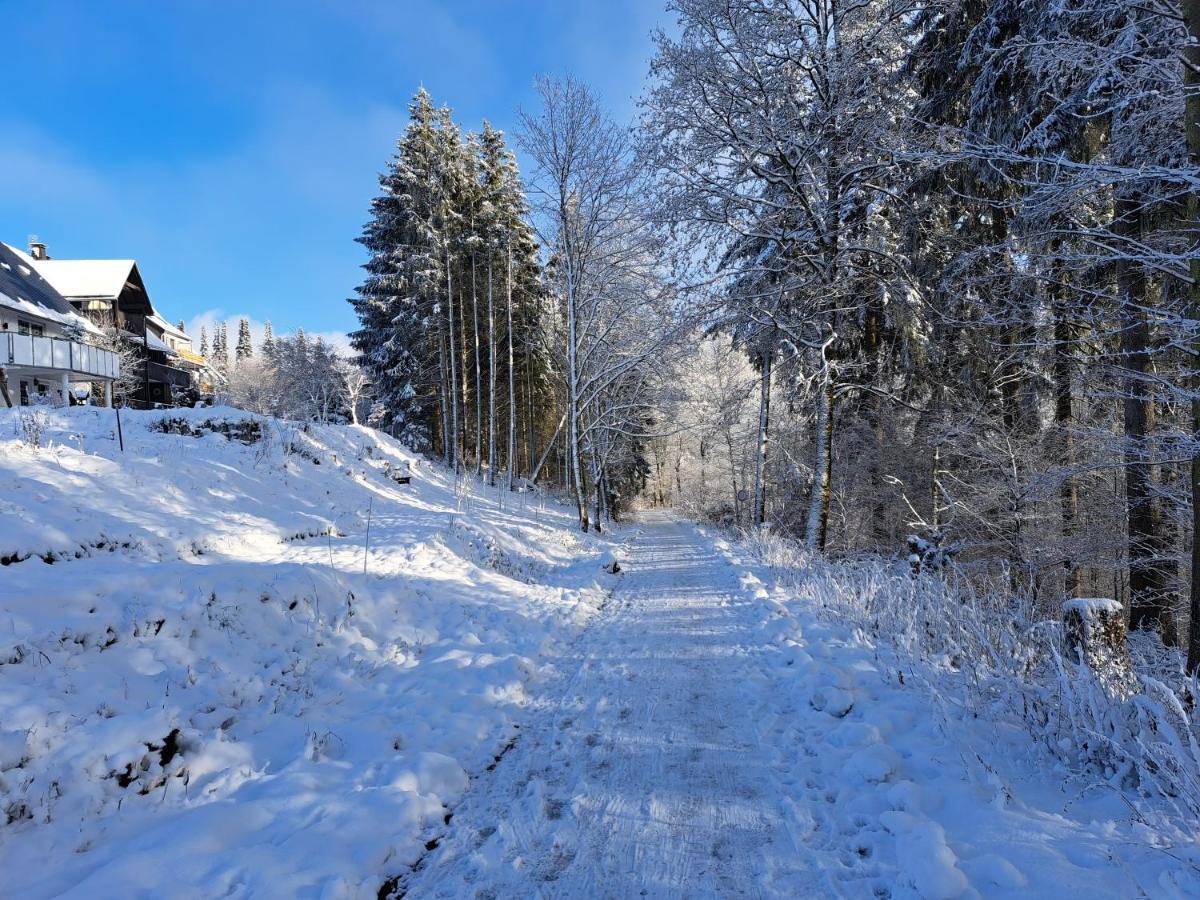 Great Apartment Winterberg Woods Medebach Extérieur photo